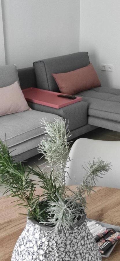 Elena Apartments Olympiáda Eksteriør bilde
